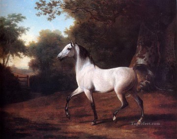動物 Painting - dw011fD 動物 馬